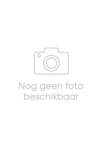 Microbiologische trappenhuisreiniger (4x5 liter)